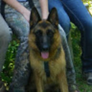 Meet your Posher, Tanya